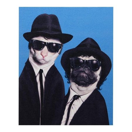 EMPIRE ART DIRECT Empire Art Direct GIC-PR015-2016 High Resolution Pets Rock Giclee Printed on Cotton Canvas on Solid Wood Stretcher - Brothers GIC-PR015-2016
